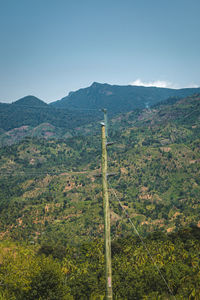 environment