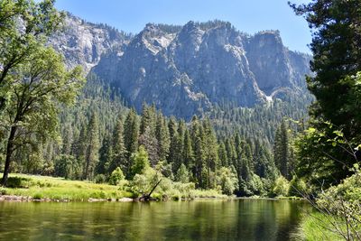 Scenic view of lake and trees against sky