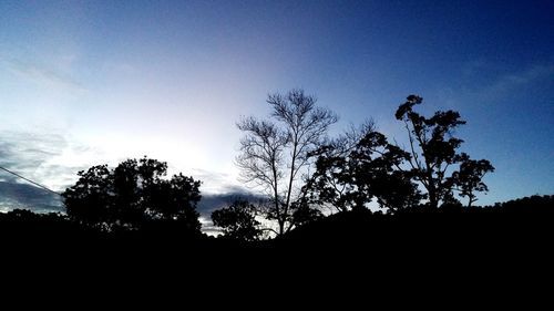 Low angle view of silhouette trees against sky