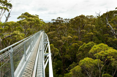 Footbridge amidst trees against sky