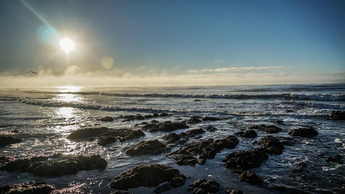 Scenic view of beach against sky during sunset