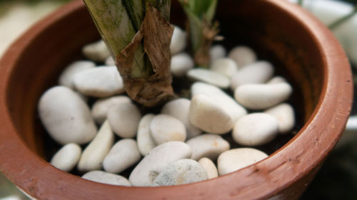High angle view of eggs in bowl