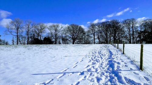 Bare trees on snow covered field against sky