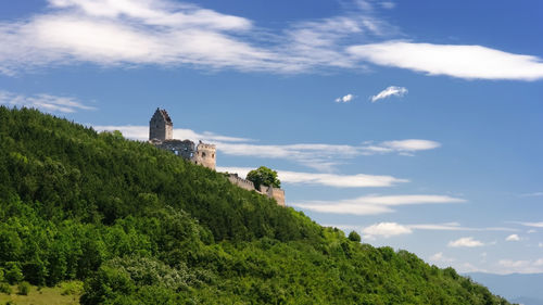 Castle on tree by building against sky