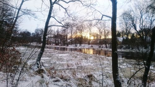 Scenic view of frozen river in forest during winter