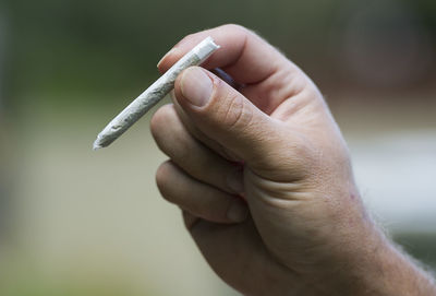 Cropped hand holding marijuana joint