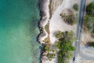 High angle view of trees at beach