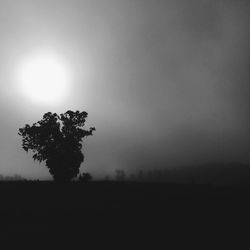 Silhouette tree on landscape against sky during foggy weather
