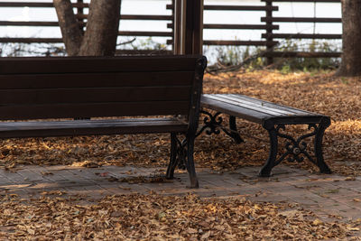 Empty bench in park during autumn 