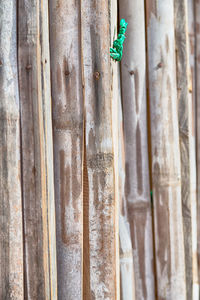 Full frame shot of weathered tree