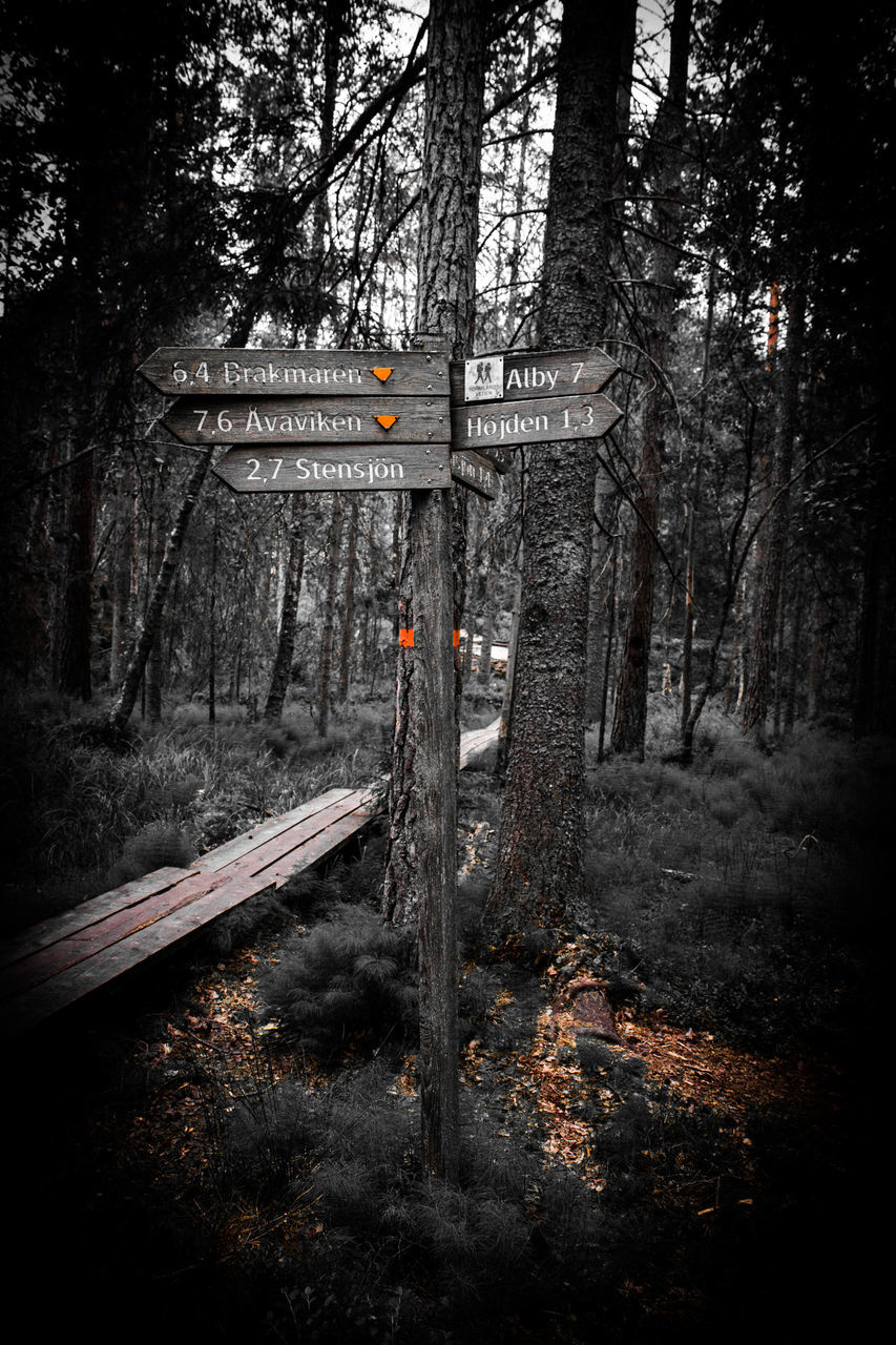 VIEW OF SIGN AT FOREST