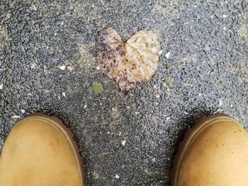Low section of person standing on concrete floor