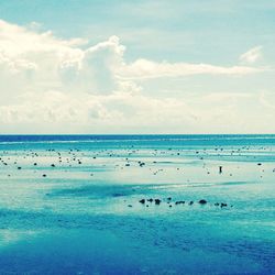 Scenic view of sea against sky
