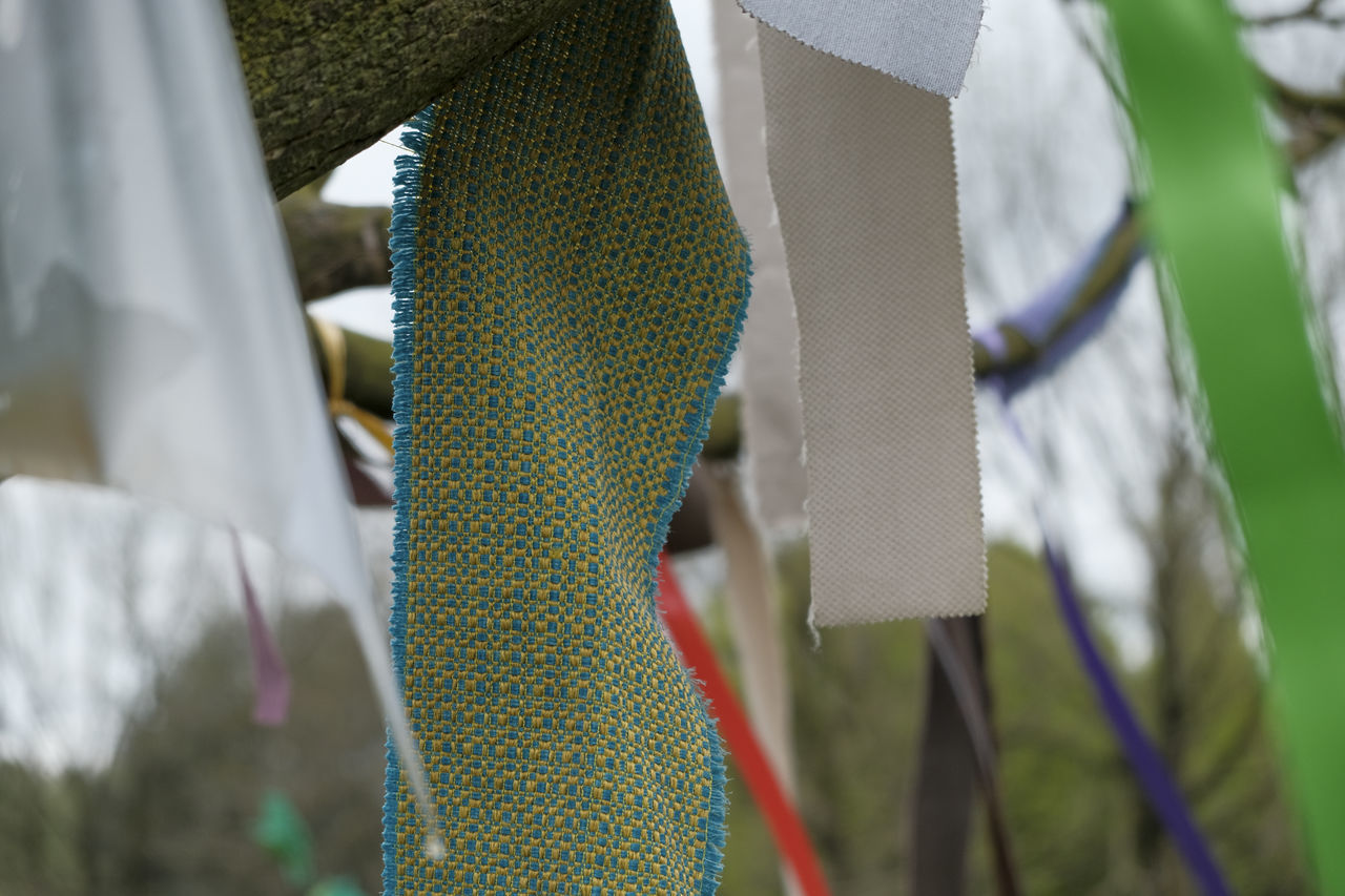 green, spring, clothing, blue, hanging, textile, day, close-up, no people, plant, yellow, nature, outdoors, selective focus, flower, focus on foreground, art