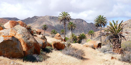 Panoramic view of landscape against sky