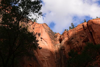 Low angle view of trees on mountain