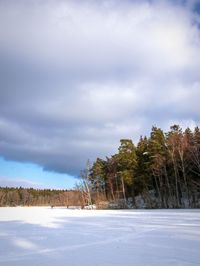 Trees on field against sky during winter