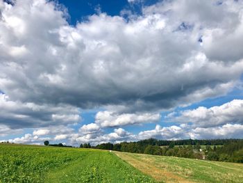 Scenic view of field against sky