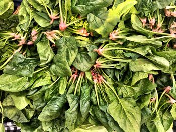 Full frame shot of vegetables for sale in market
