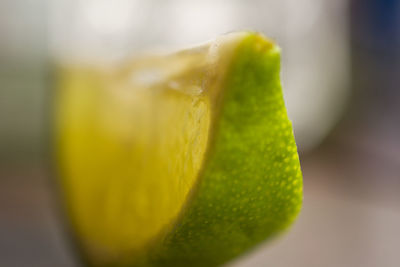 Macro shot of yellow flower