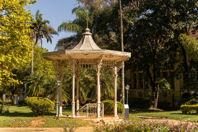 Trees in park