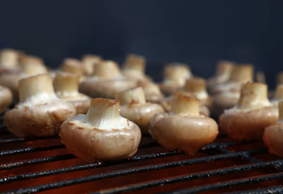 Close-up of mushrooms cooking on barbecue