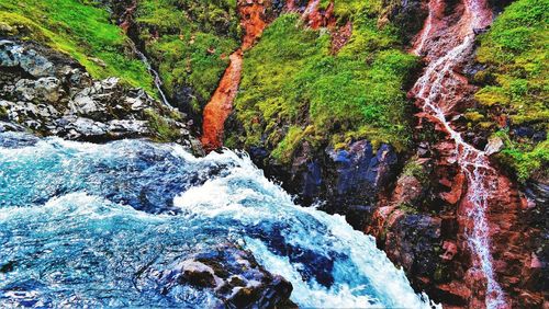 Scenic view of waterfall in forest