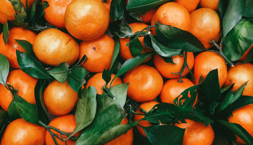 Full frame shot of oranges for sale