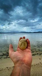 Person hand holding sea shore against sky