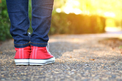 Low section of woman wearing red canvas shoes