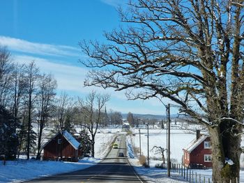 Bare trees on snow covered field against sky