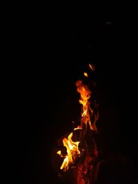 Close-up of fire in the dark