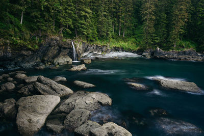 Stream flowing through rocks in forest