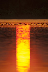 Close-up of yellow sea at sunset