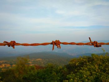 Barbed wire fence against sky