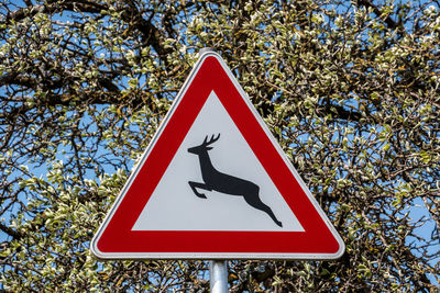 Close-up of road sign against trees