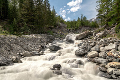 Surface level of stream flowing through rocks in forest