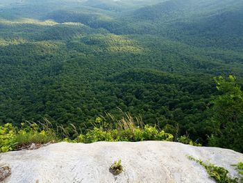 Scenic view of mountains