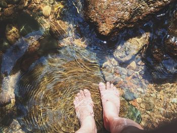 Low section of person standing in water