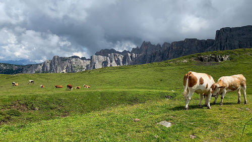 Dolomites, italy