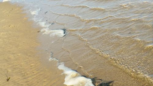 Close-up of wet sand at beach