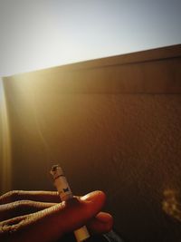 Person hand holding cigarette against sky