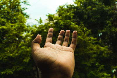 Cropped hand of man gesturing against trees