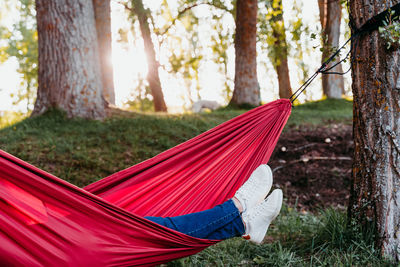 Low section of woman lying on hammock in forest