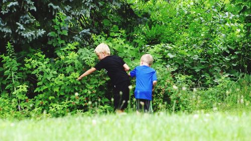 Rear view of boys searching in plants