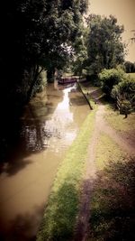 Footpath in pond