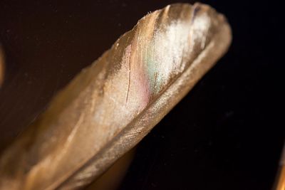 High angle view of ice cream over black background