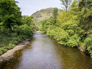 Tree lined river eachaig and background hills on the cowal peninsula, argyll, scotland