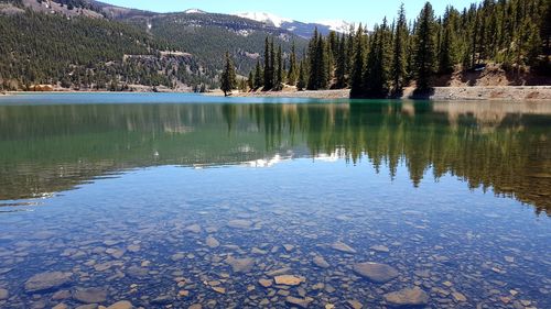 Reflection of trees in lake against sky