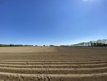 Scenic view of agricultural field against clear blue sky